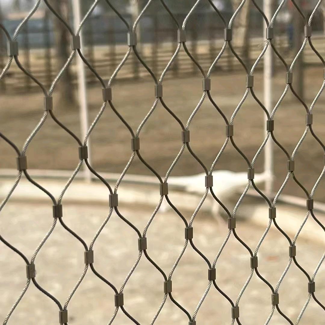 增坤-防坠网-鹦鹉笼