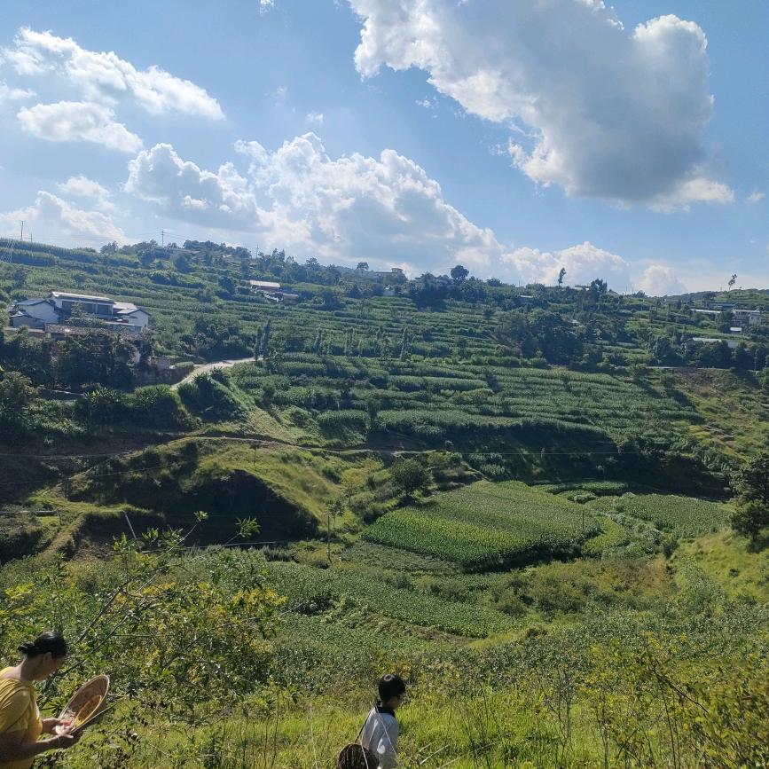 辛街壹加衣女装