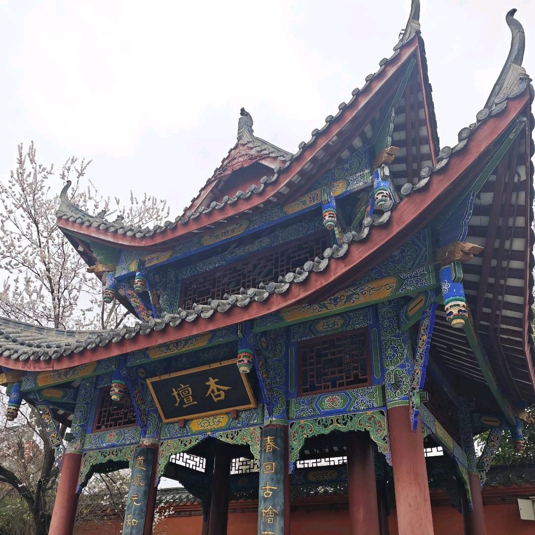 小梅粗生活