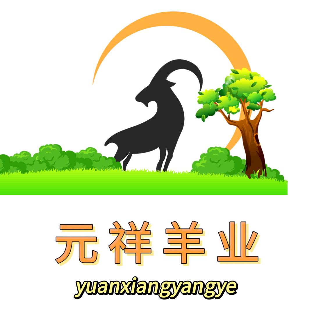 王某的买羊日记🐏