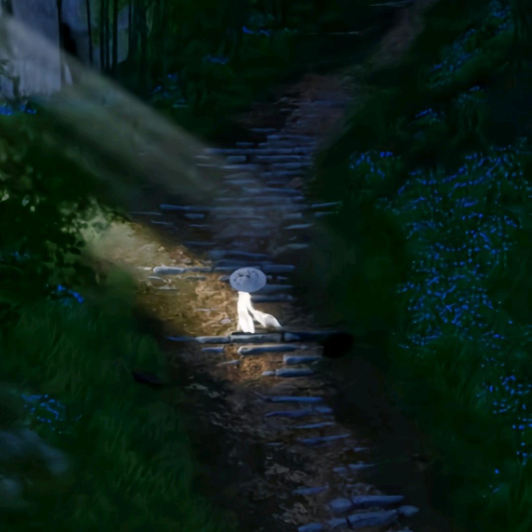 爱肖肖的小龙女