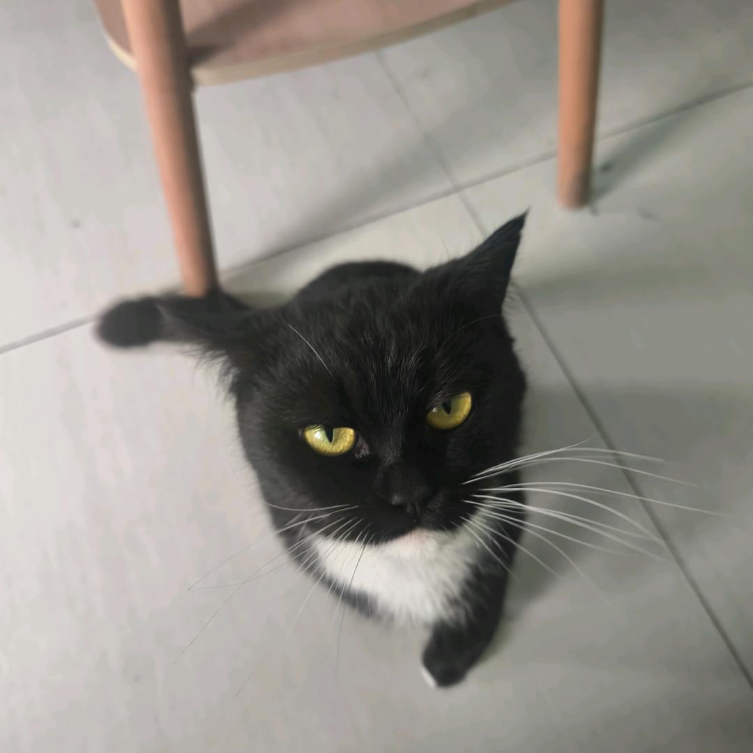 蓝天白云