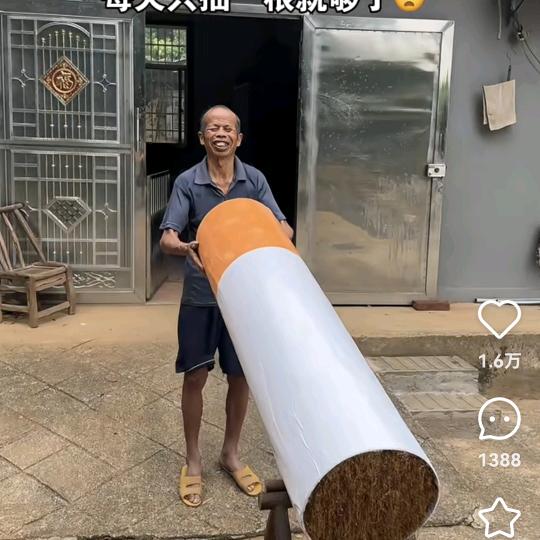 🌊🌊🌊🦈🦈🦈