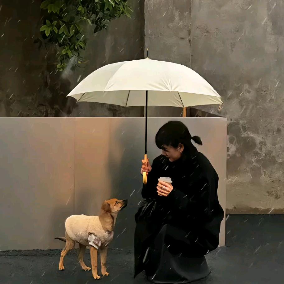 自渡！