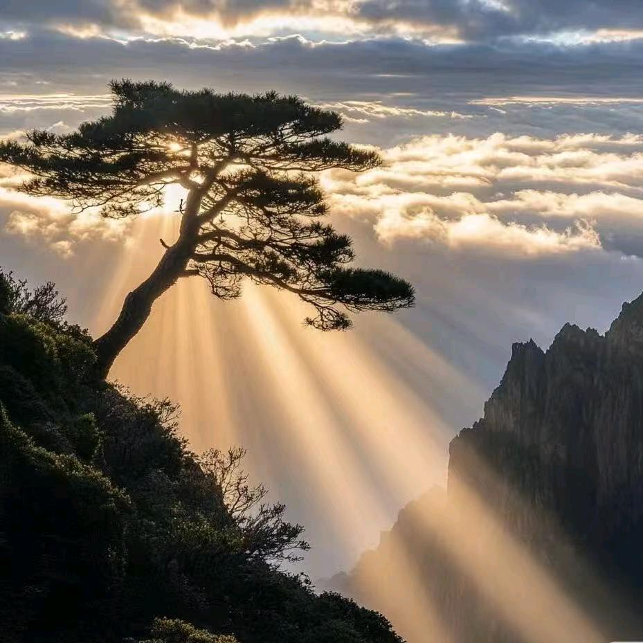 芦哥  直播创业