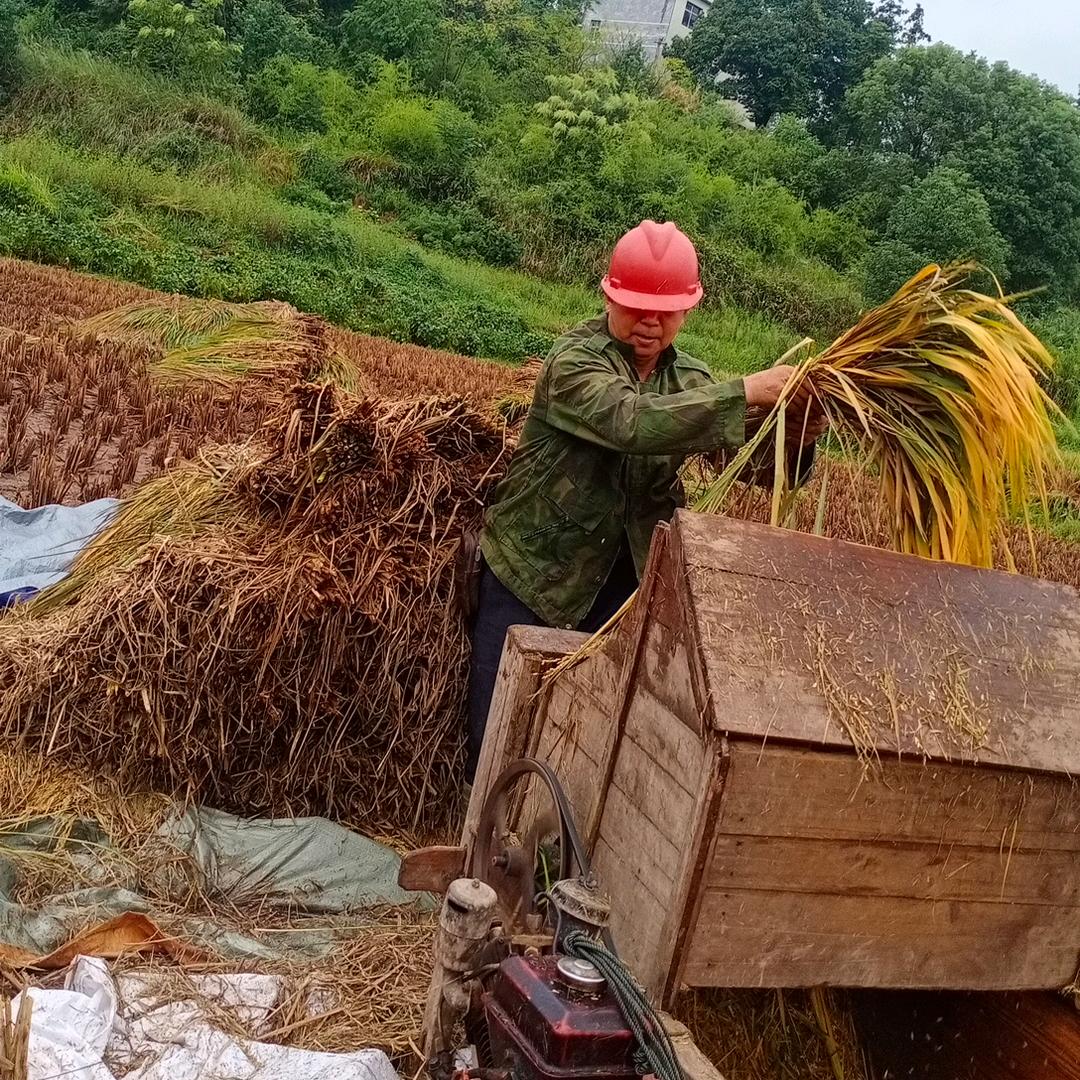 老吴农民