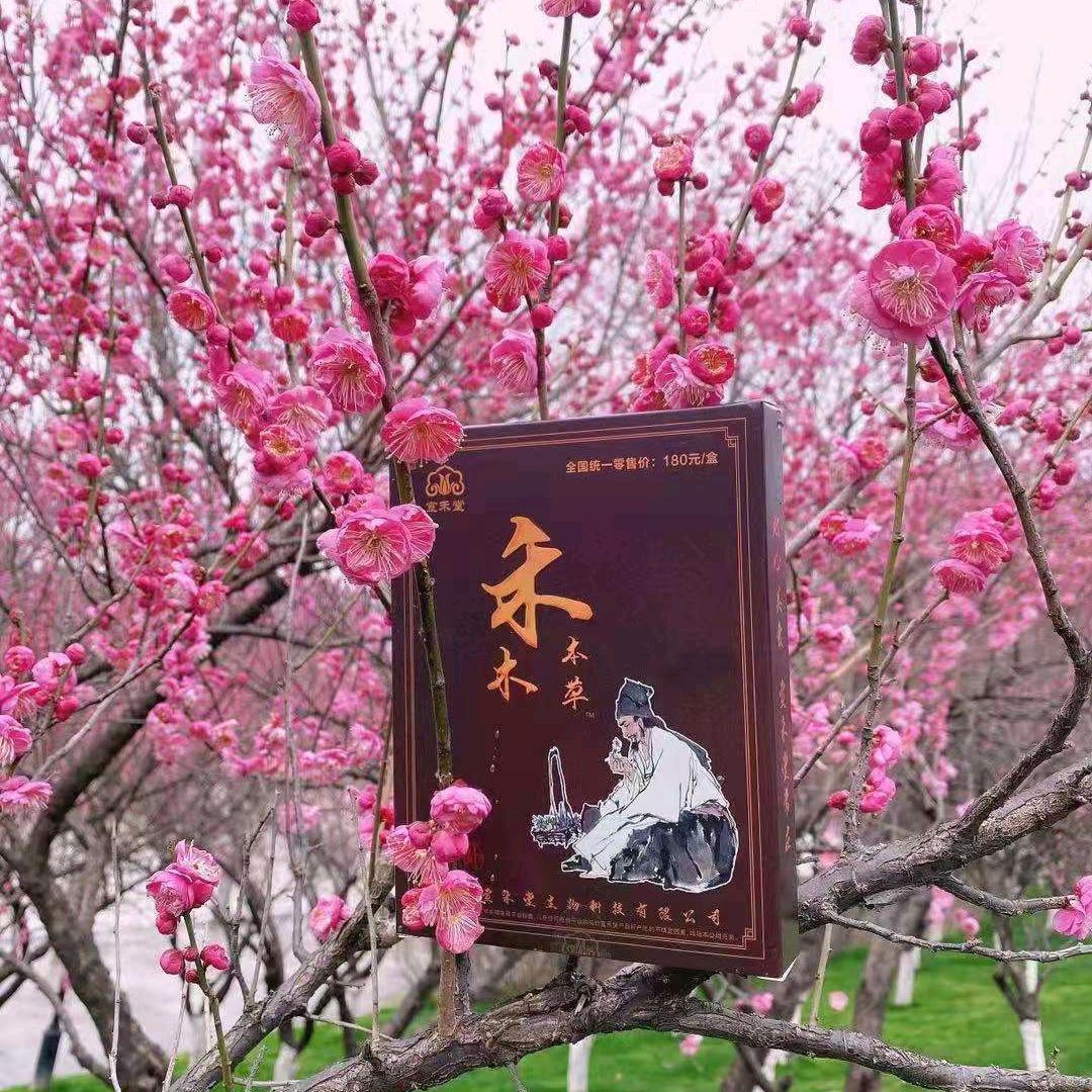 ❤命运天注定❤