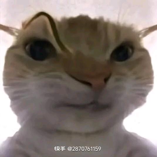 π_π
