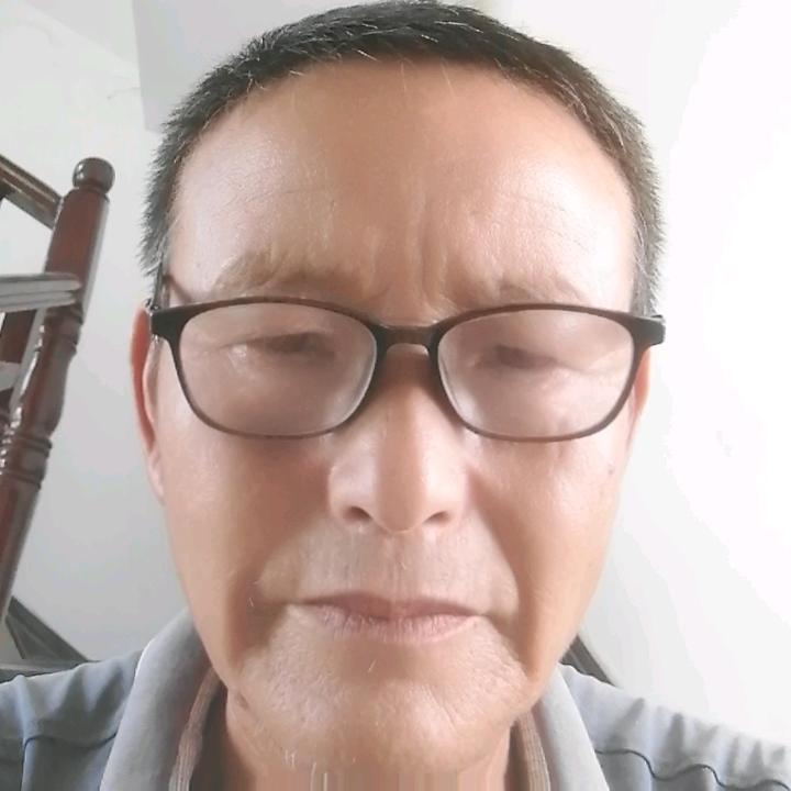 树哥