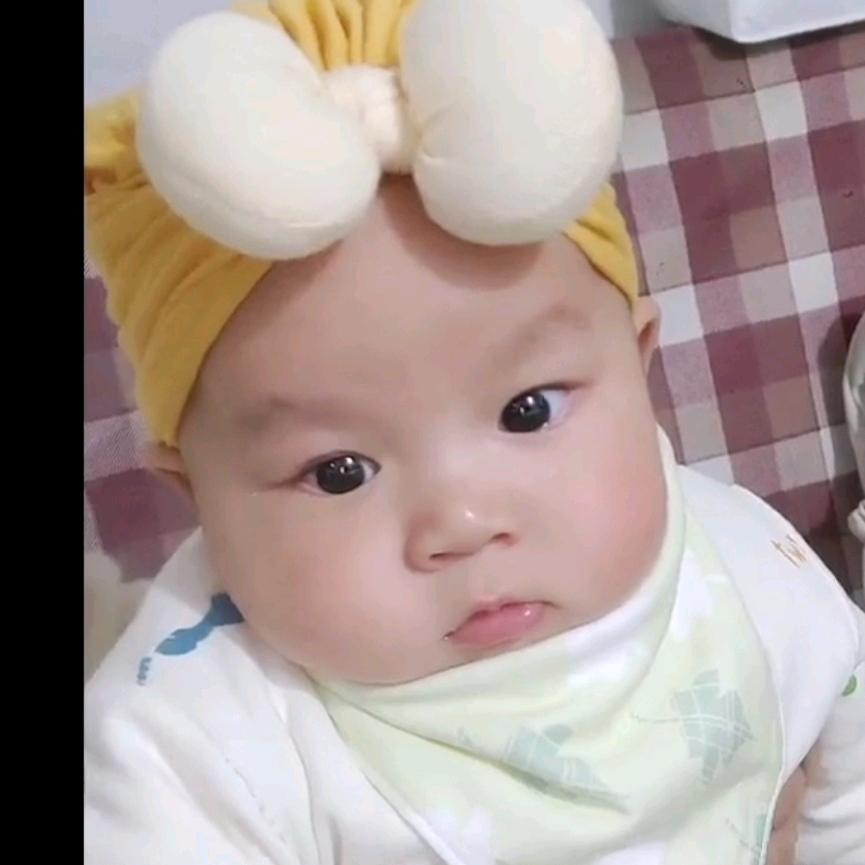 锦帆少爷