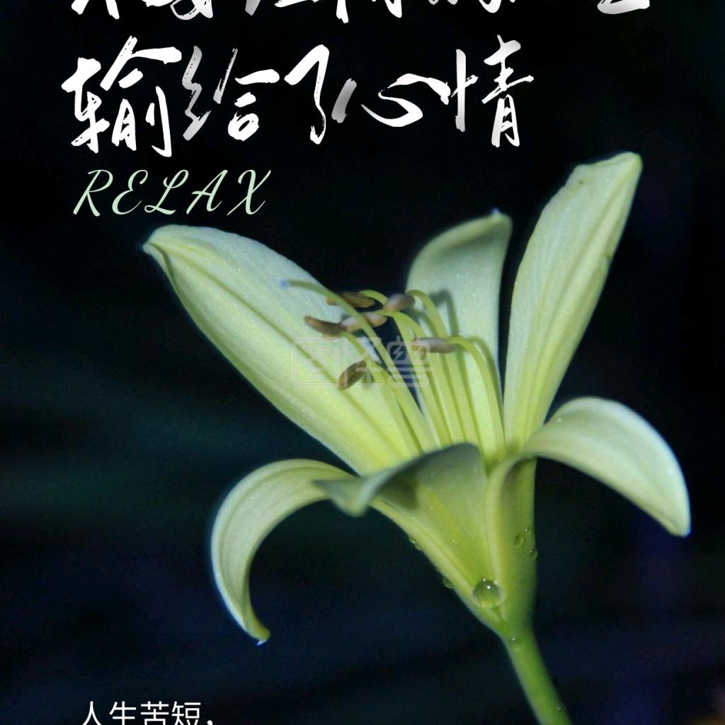 悠悠