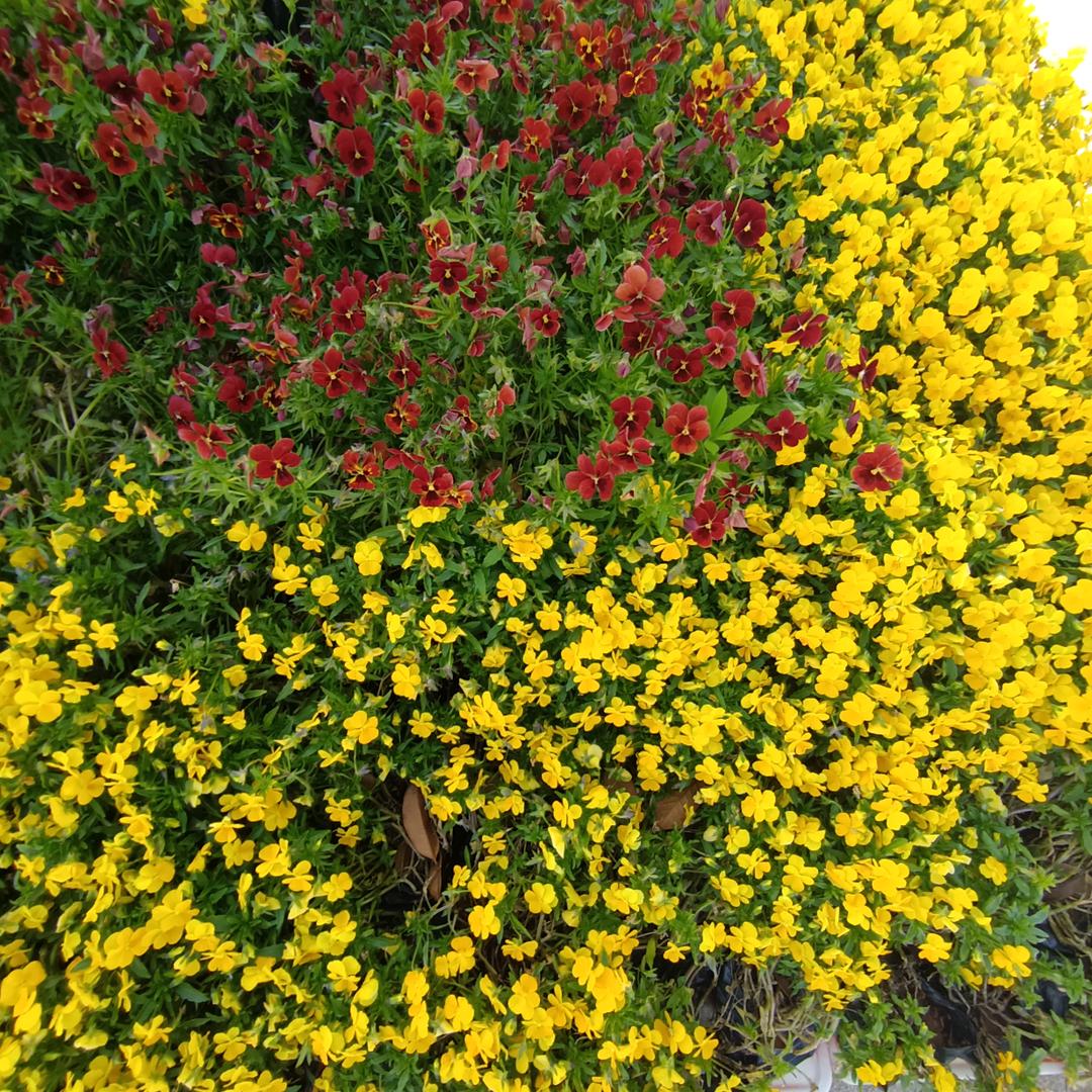 用户658749301舒燕