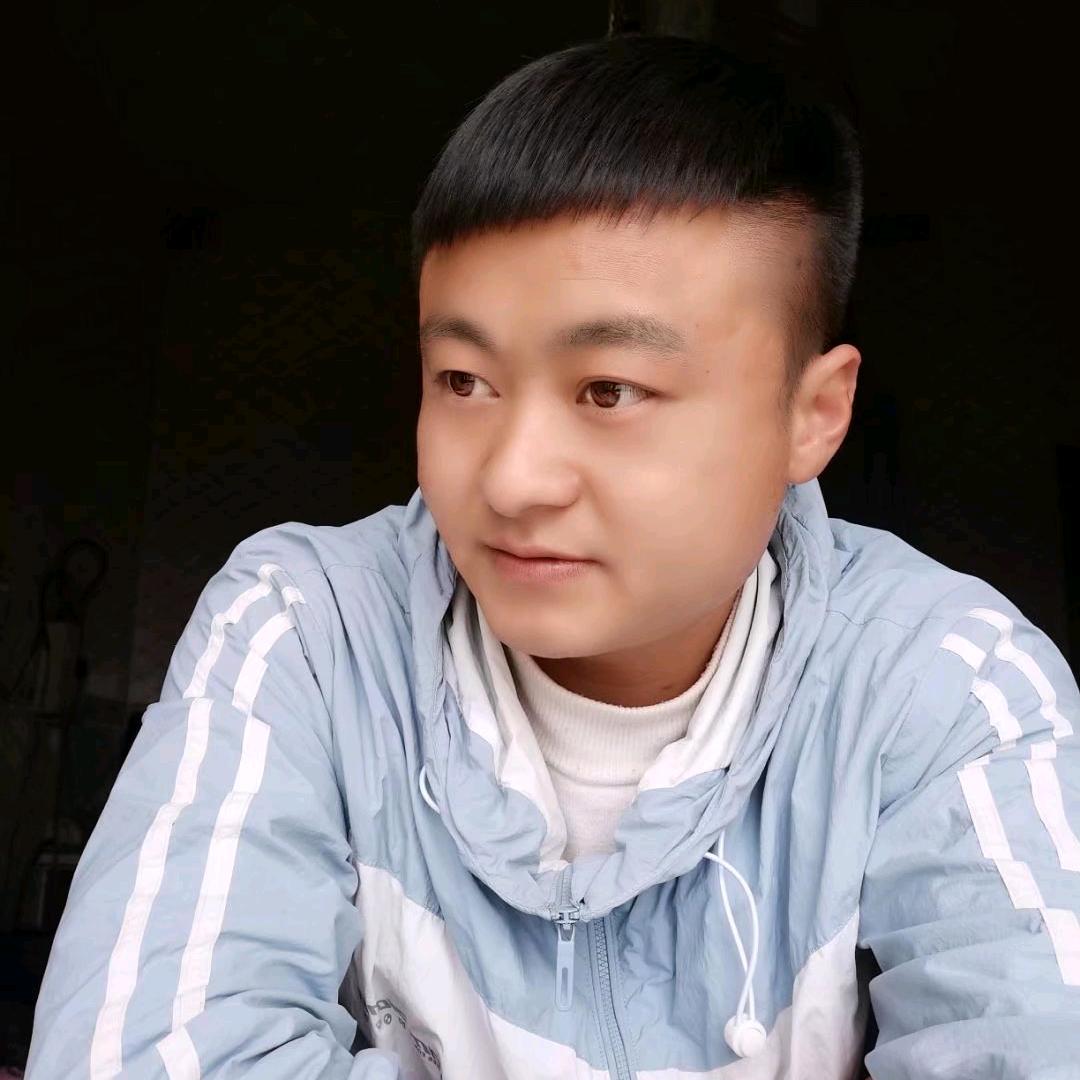 养土蜜蜂的靓仔