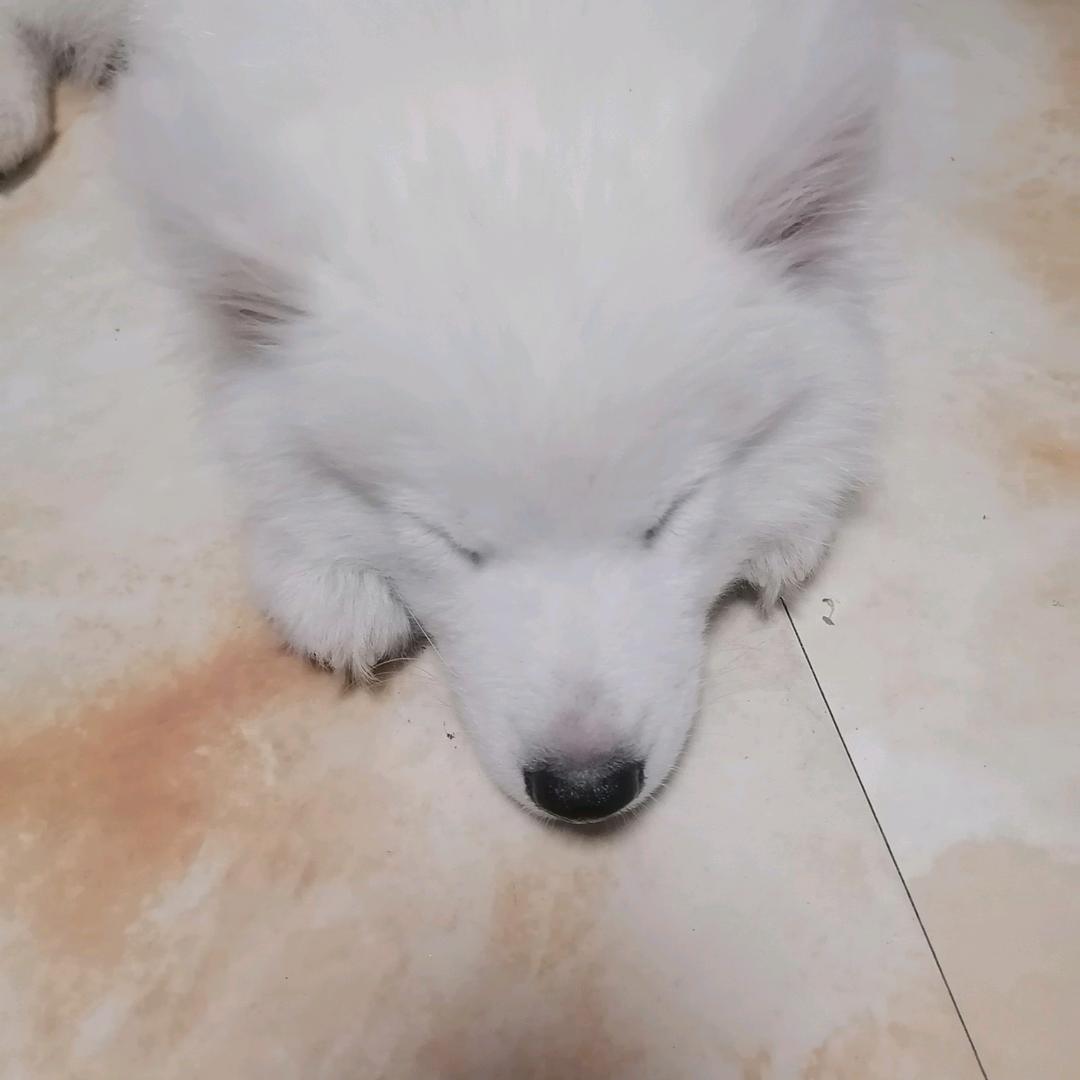 梦想一直在路上