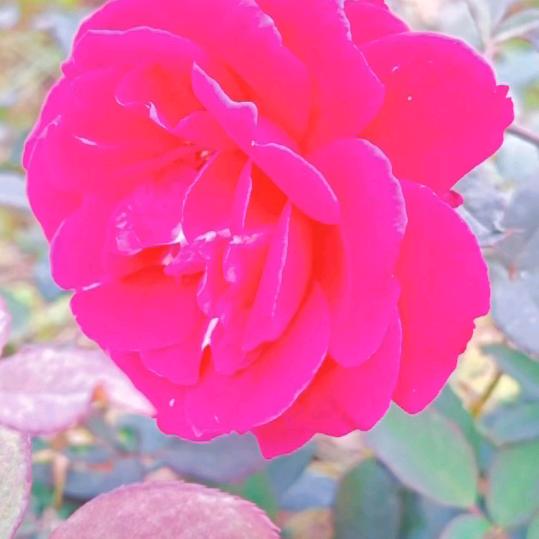 我没有靠山💘自己就是山