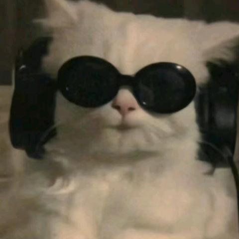 抢钱养老婆（停稿版）