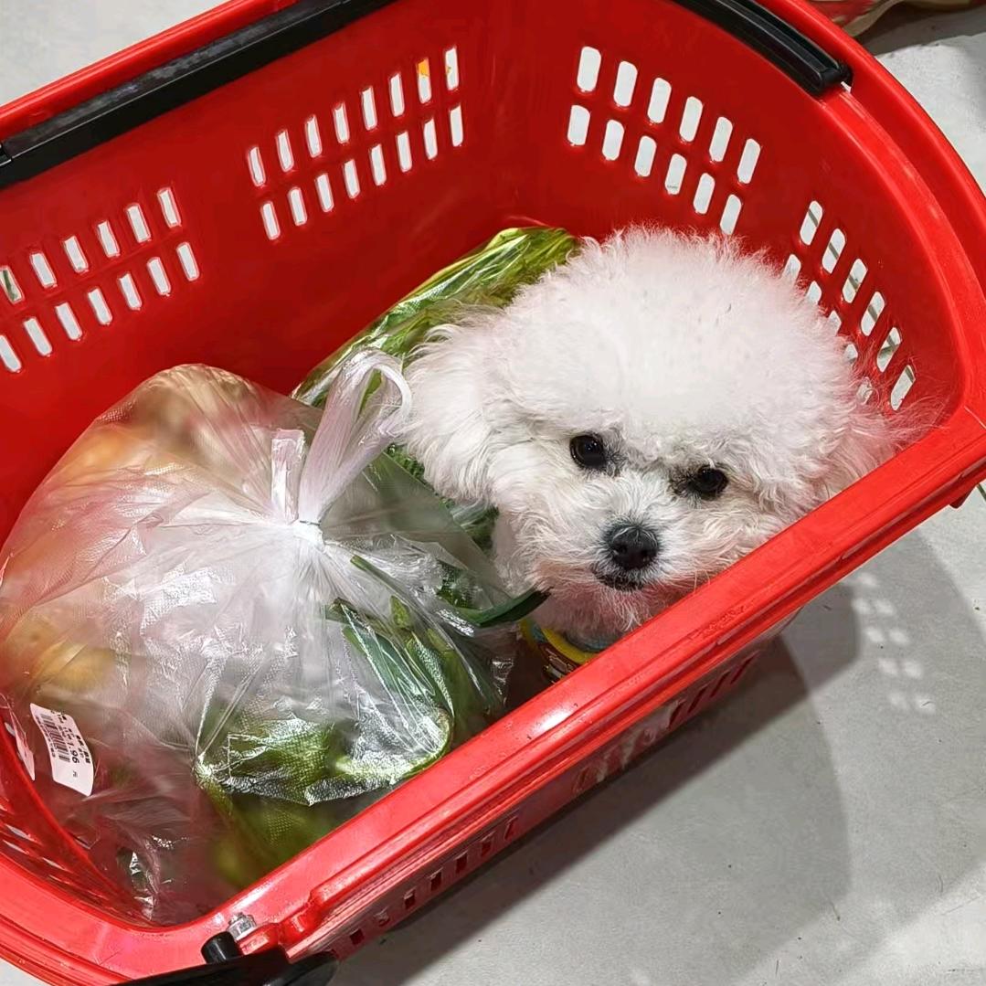 饿饿（狠狠幸福版）