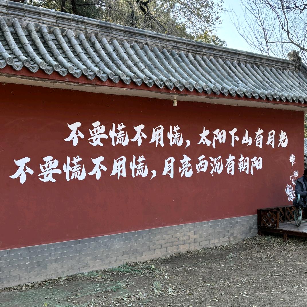 小迪推荐官