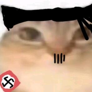 溜溜汪（三角洲行动）