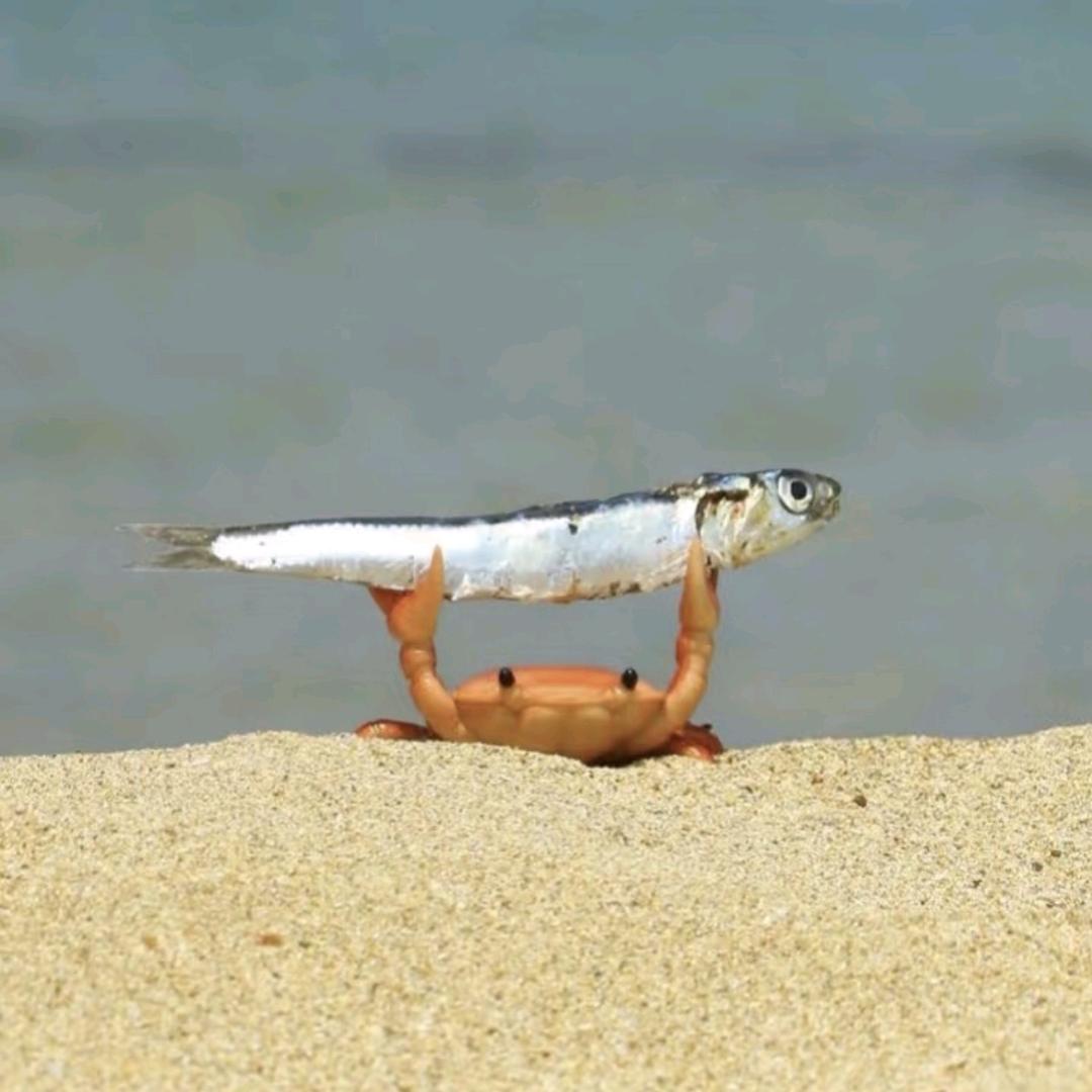 纯粹
