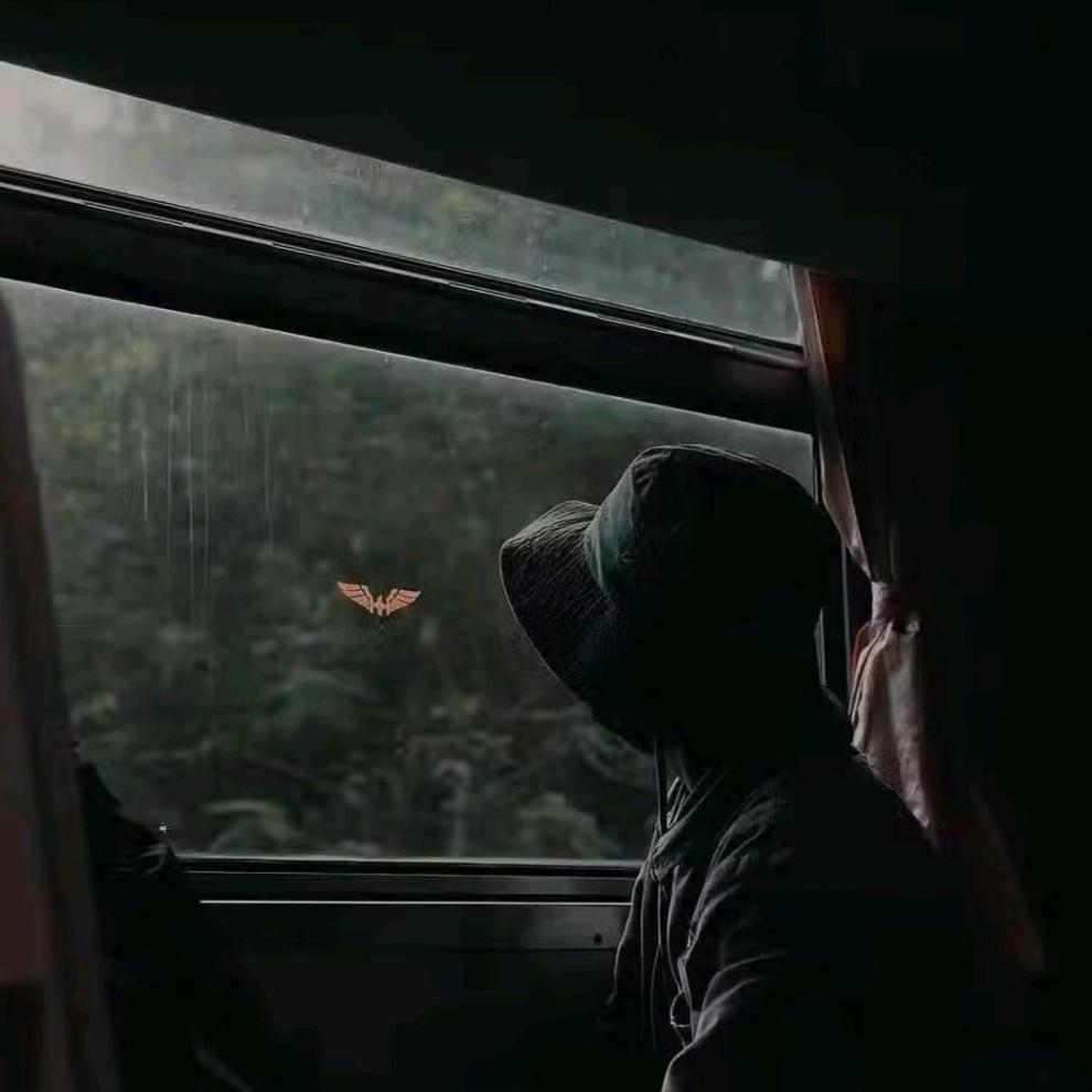 汤姆猫 🅃