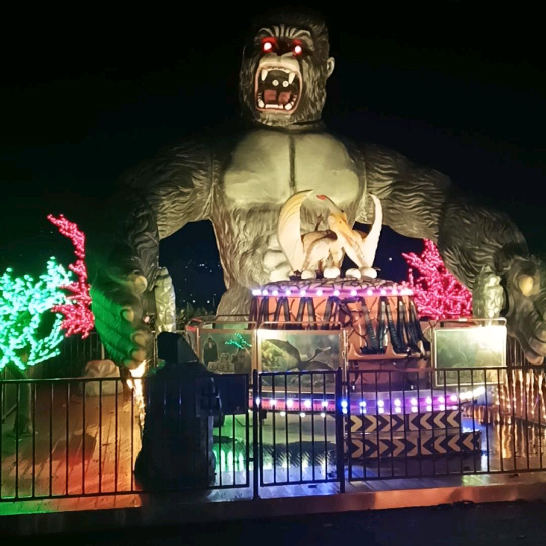 人生如书边看边读。