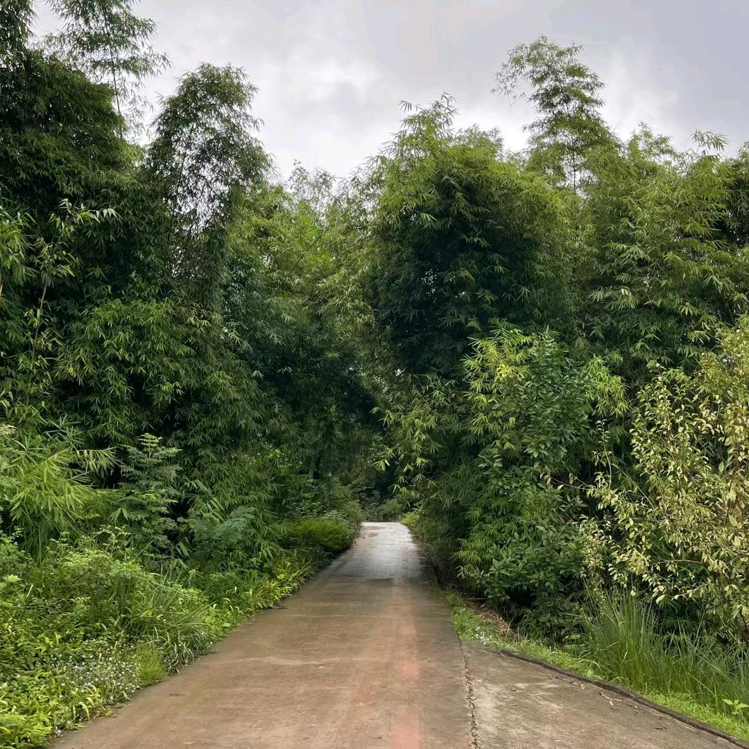 黎明前的守候<川S>