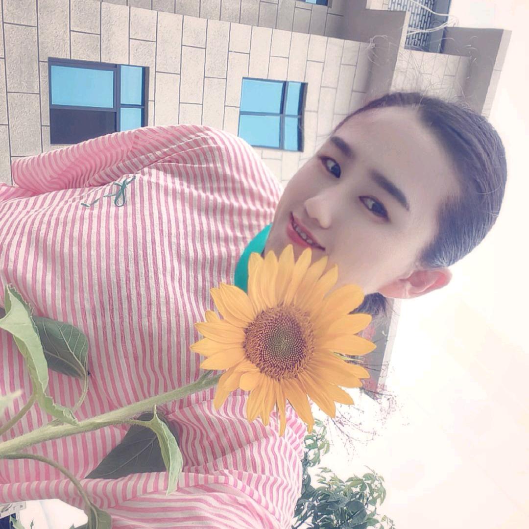 一城柳絮吹成雪
