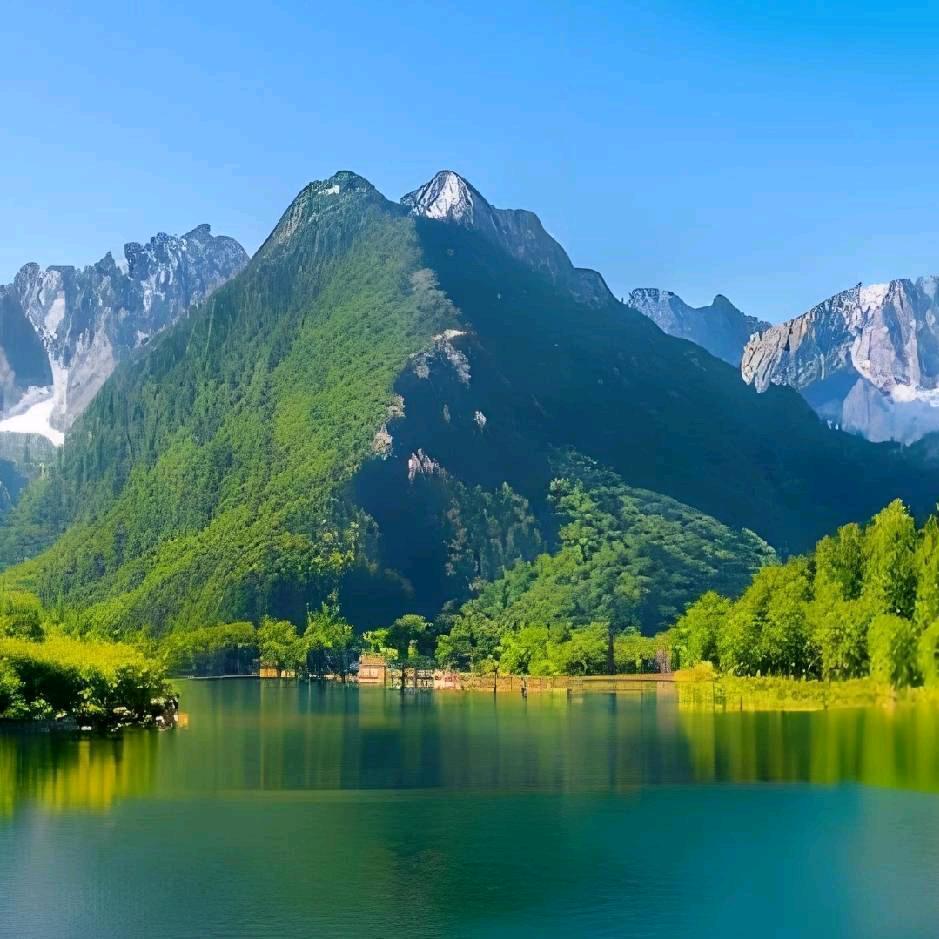 锋哥