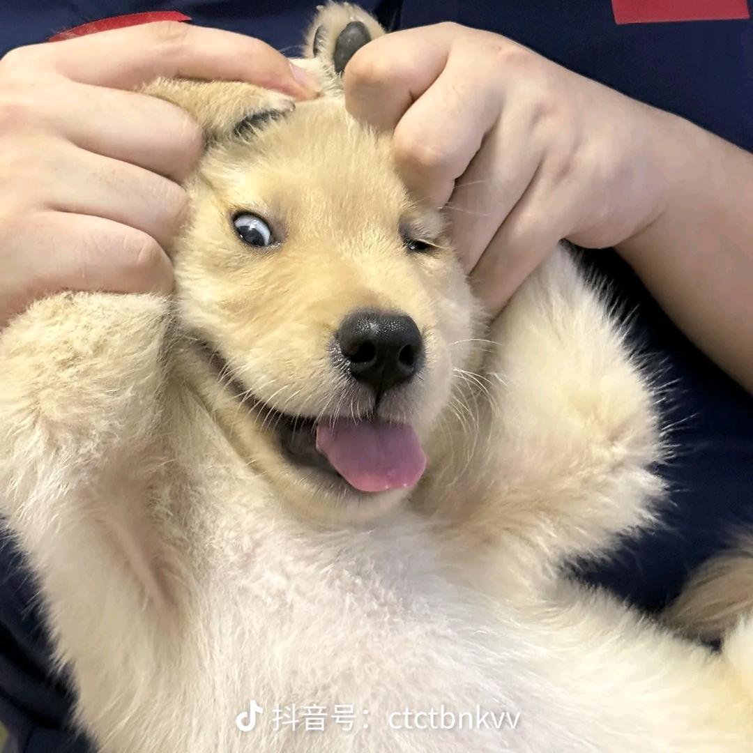 🤫