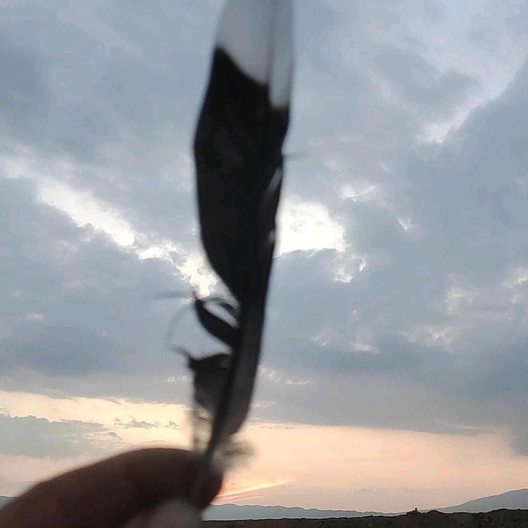 M—💞阿軍💞₅₂₀¹³¹⁴（）