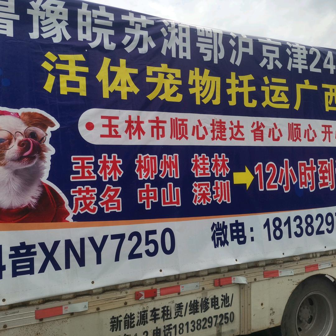 新能源宠物活体托运