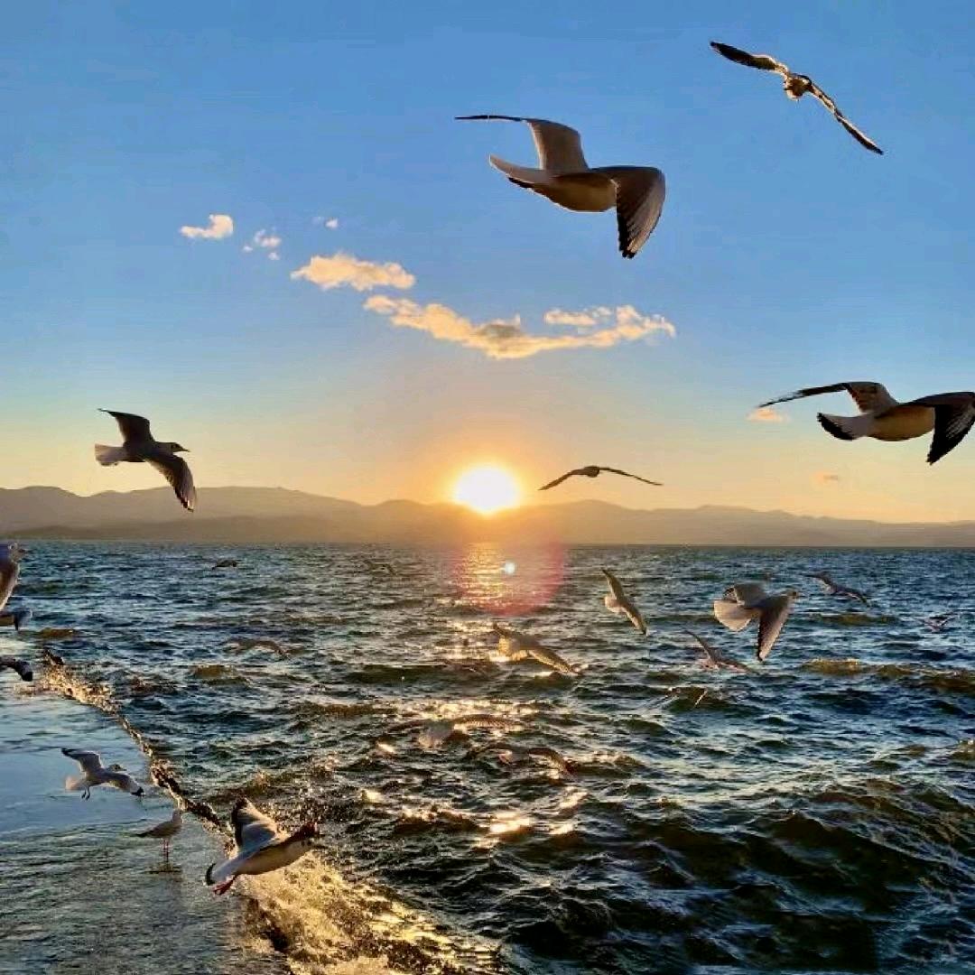 明浩，