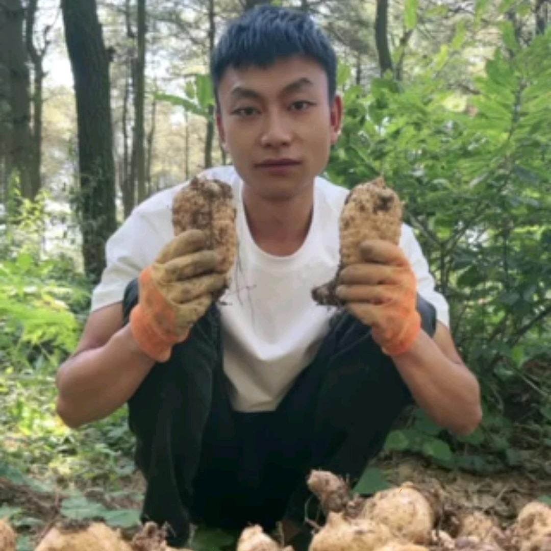 朱磊磊