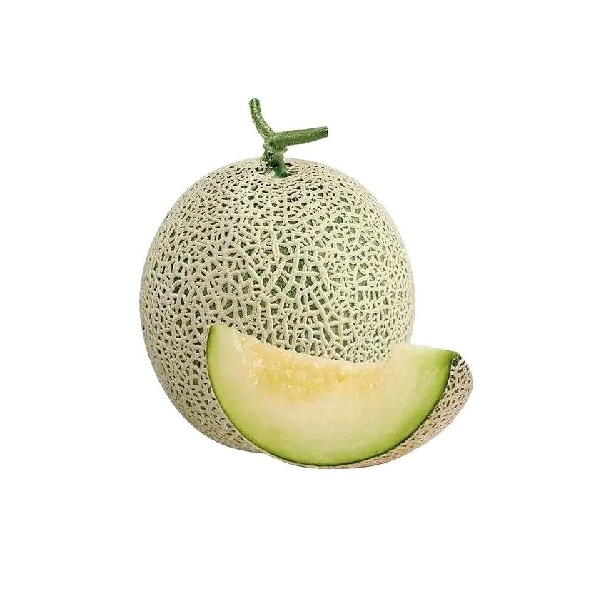 忧郁的哈密瓜78