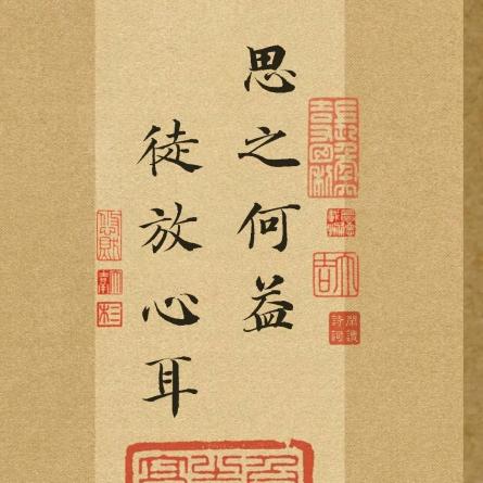 太行山柏籽壳