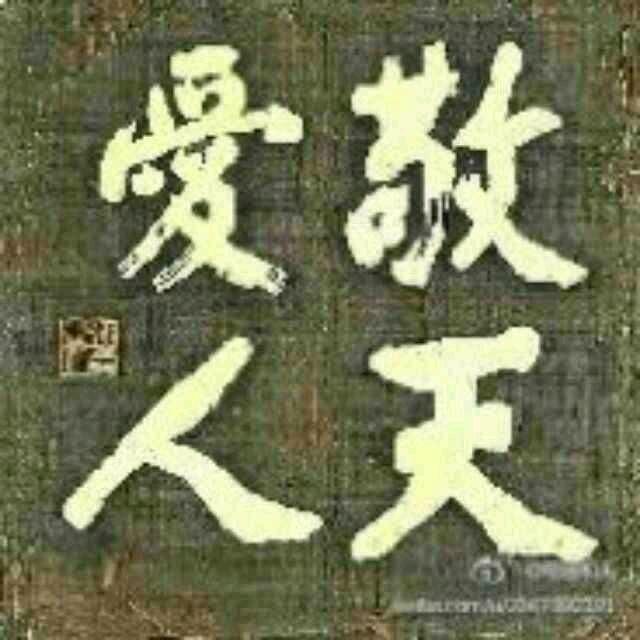 文姐78