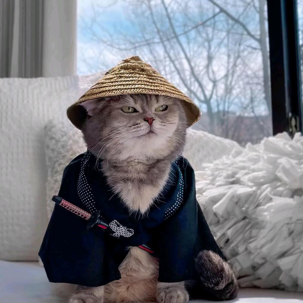 蔚蓝星球--小范