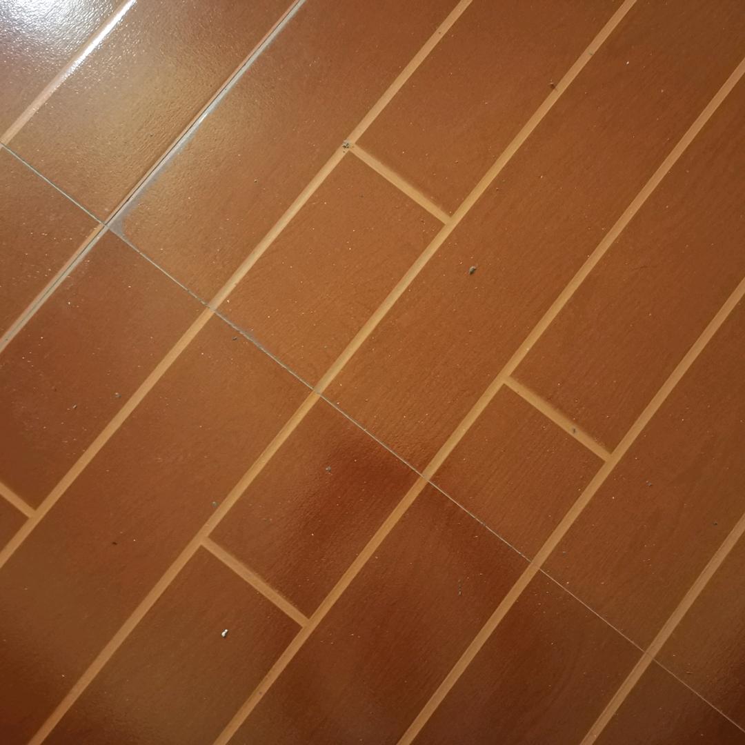 仙界的陆莹莹头像