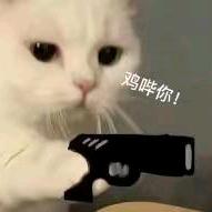 江桑