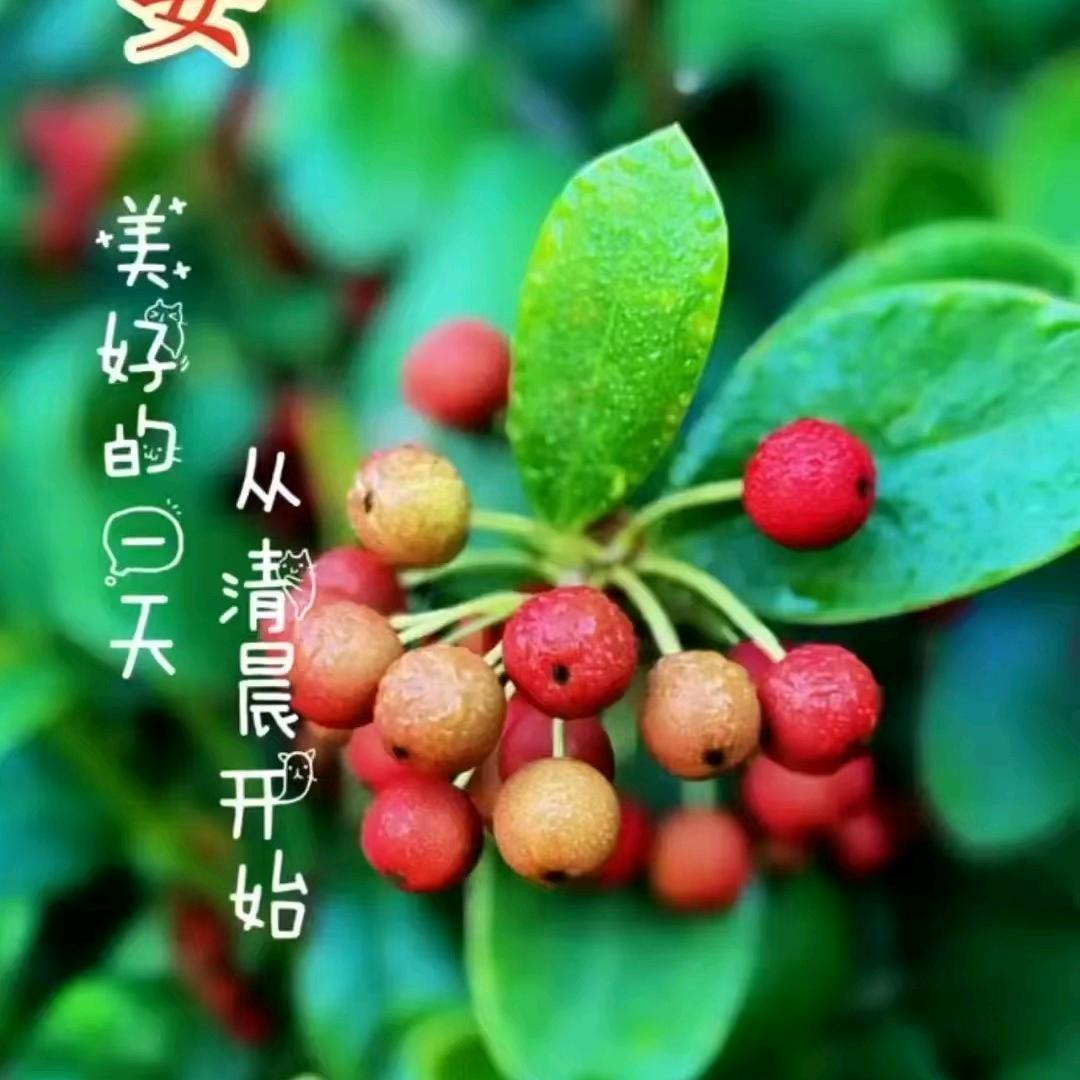 聚家福