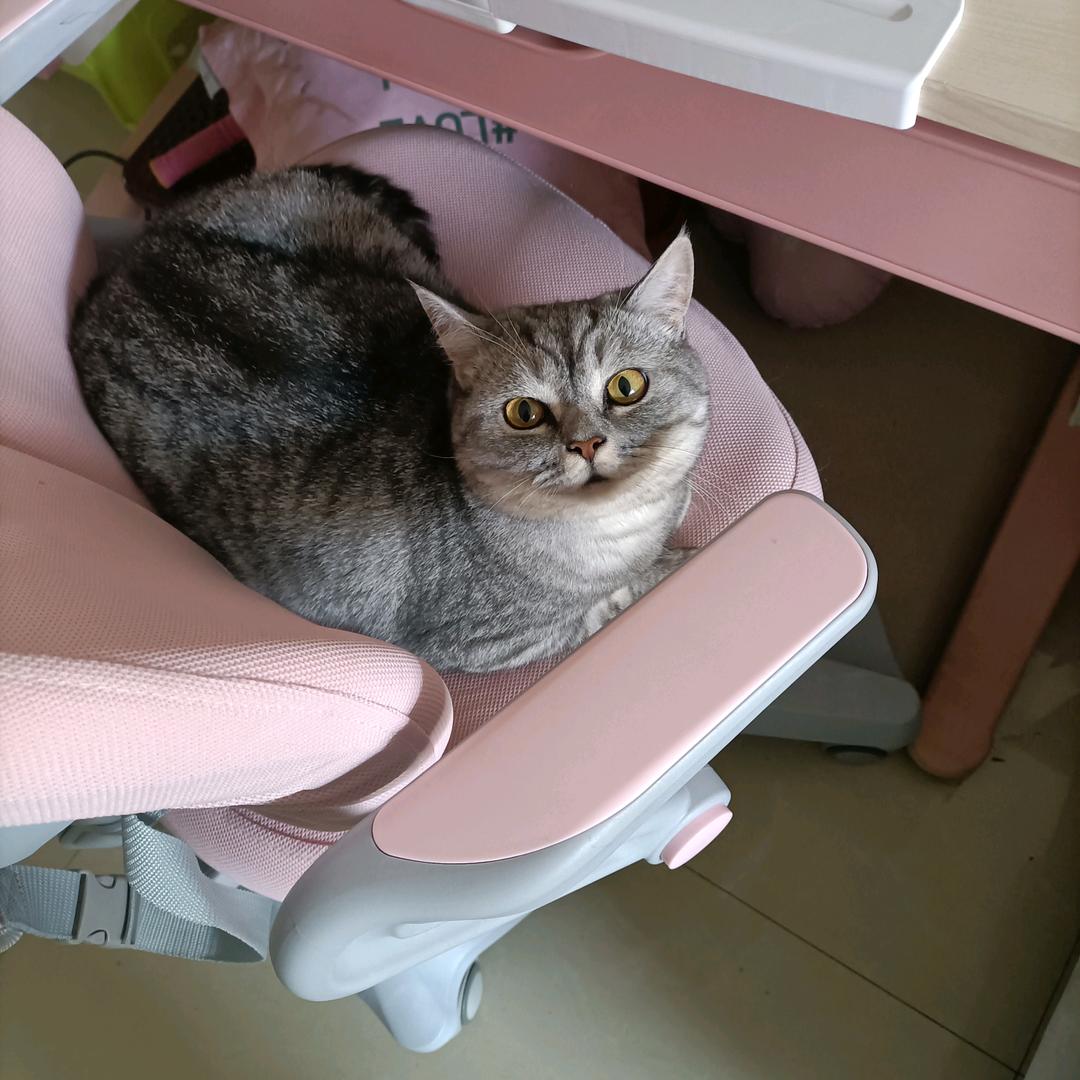小陈姨妈