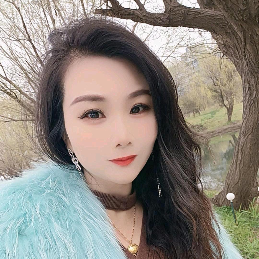 琴
