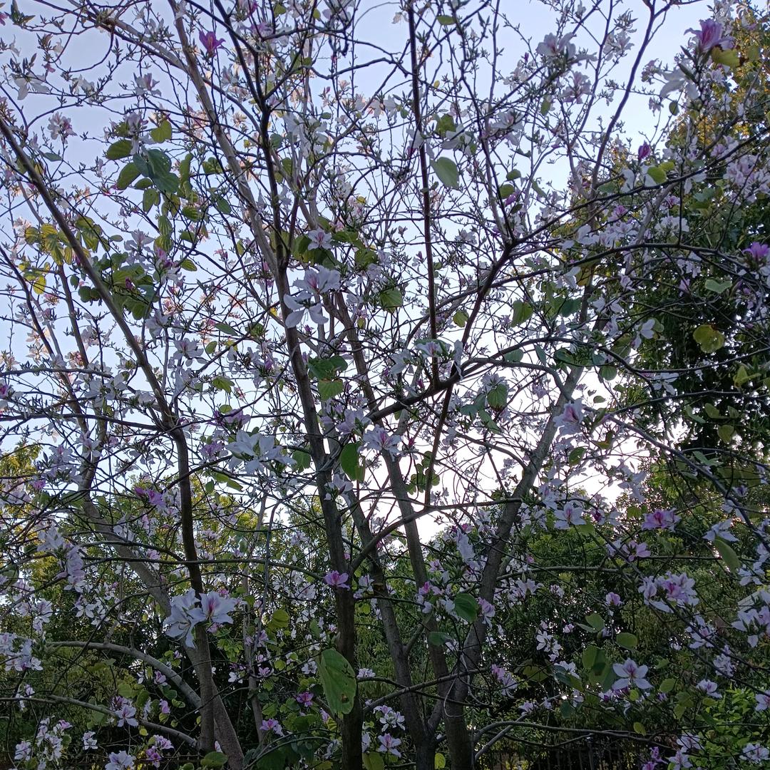 老年人的精彩人生