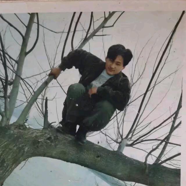 辉子