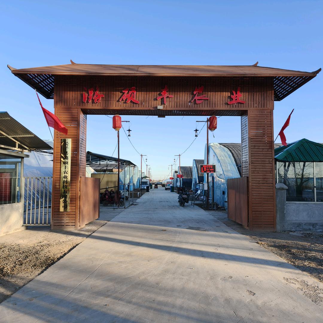 草莓圣女果新鲜采摘