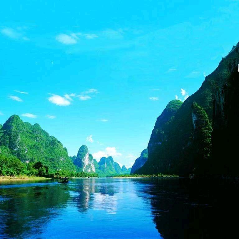 杨阳羊