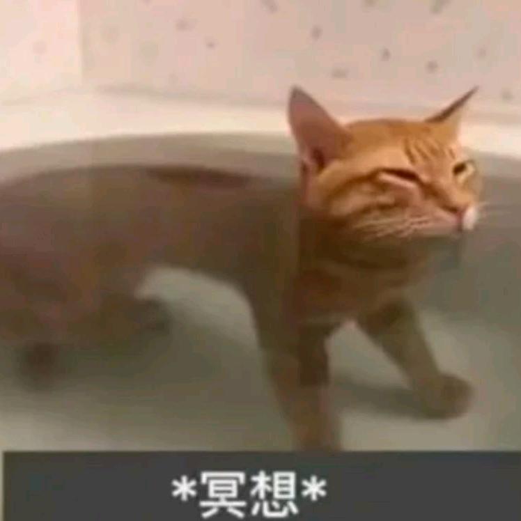 乌梢蛇