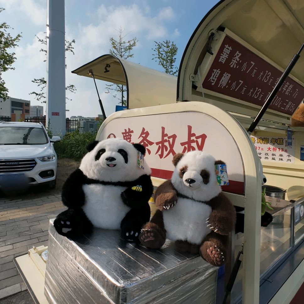 大华重生记