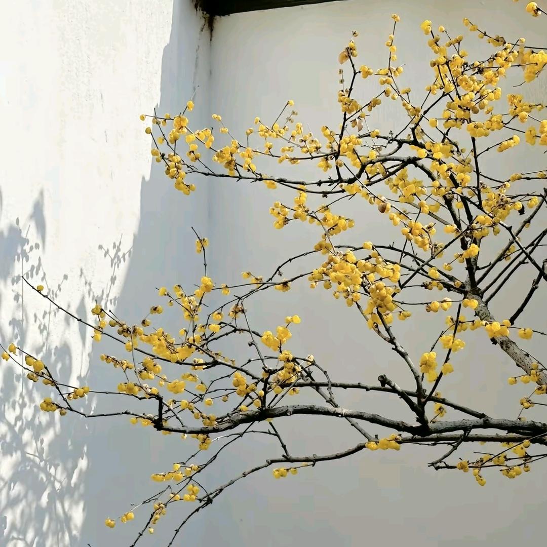 乐.程宝贝